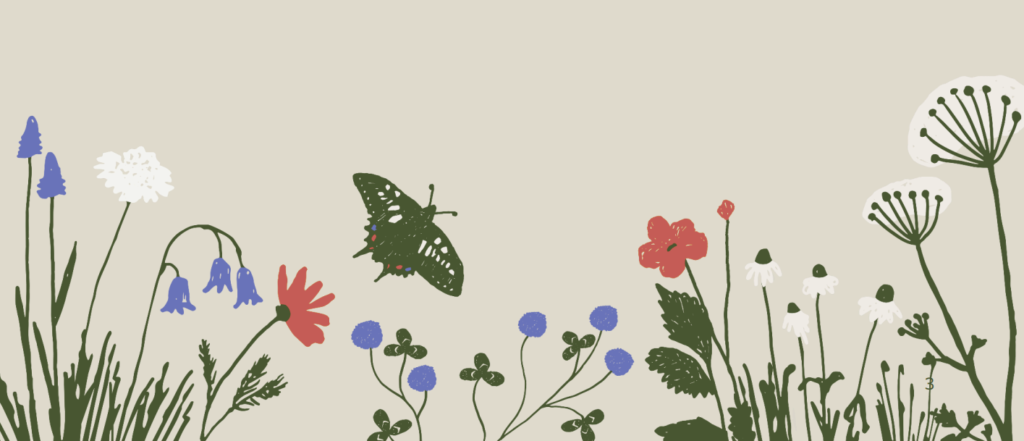 Illustration of a colorful wildflower meadow with a green butterfly in flight. Various flowers in red, blue, and white are depicted with simple line art. The background is a solid, light beige color.